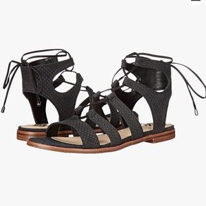 🆕 🎉HP🎉Vince Camuto Leather Black Gladiator Sandals
